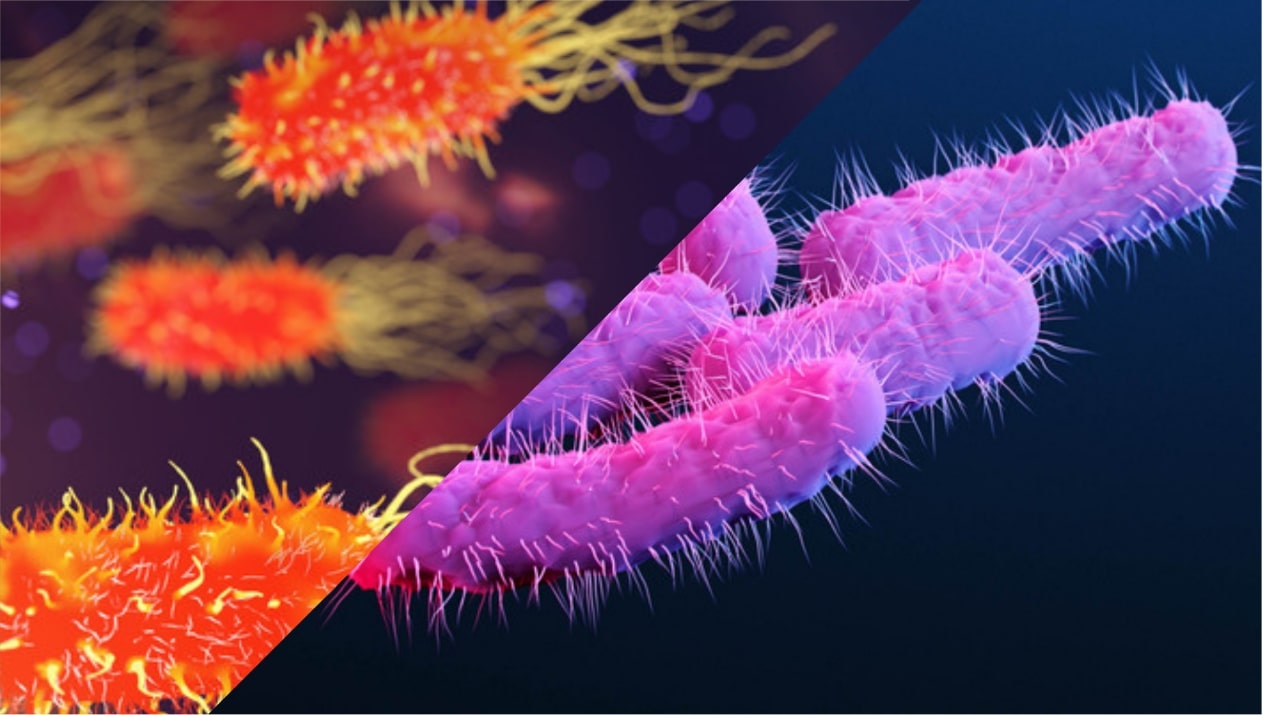 Colistin is effective in treatment of infections caused by multidrug-resistant Pseudomonas aeruginosa in cancer patients