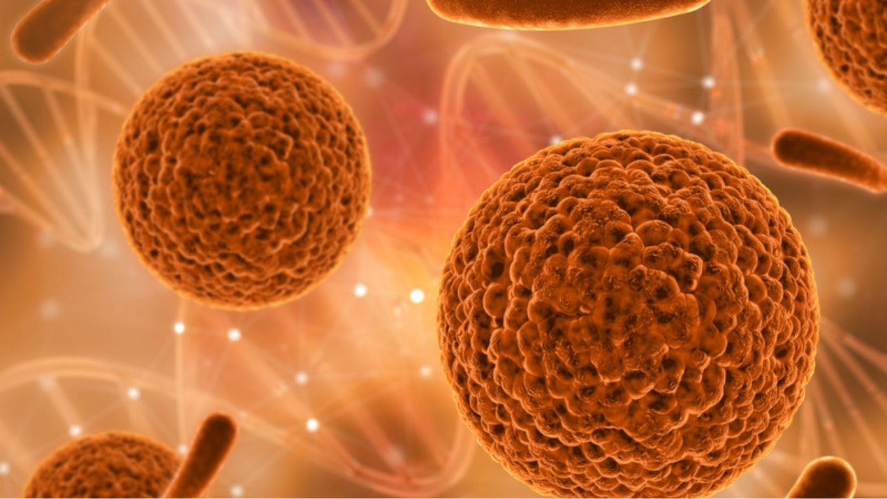 Activity of faropenem against cephalosporin-resistant Enterobacteriaceae