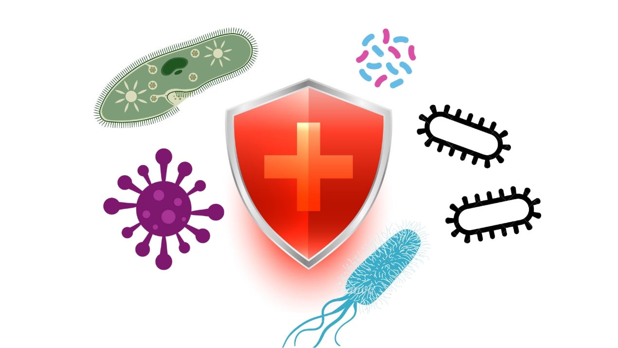 Study- Activities of Faropenem, an Oral β-Lactam, against Recent U.S. Isolates of Streptococcus pneumoniae, Haemophilus influenzae, and Moraxella catarrhalis