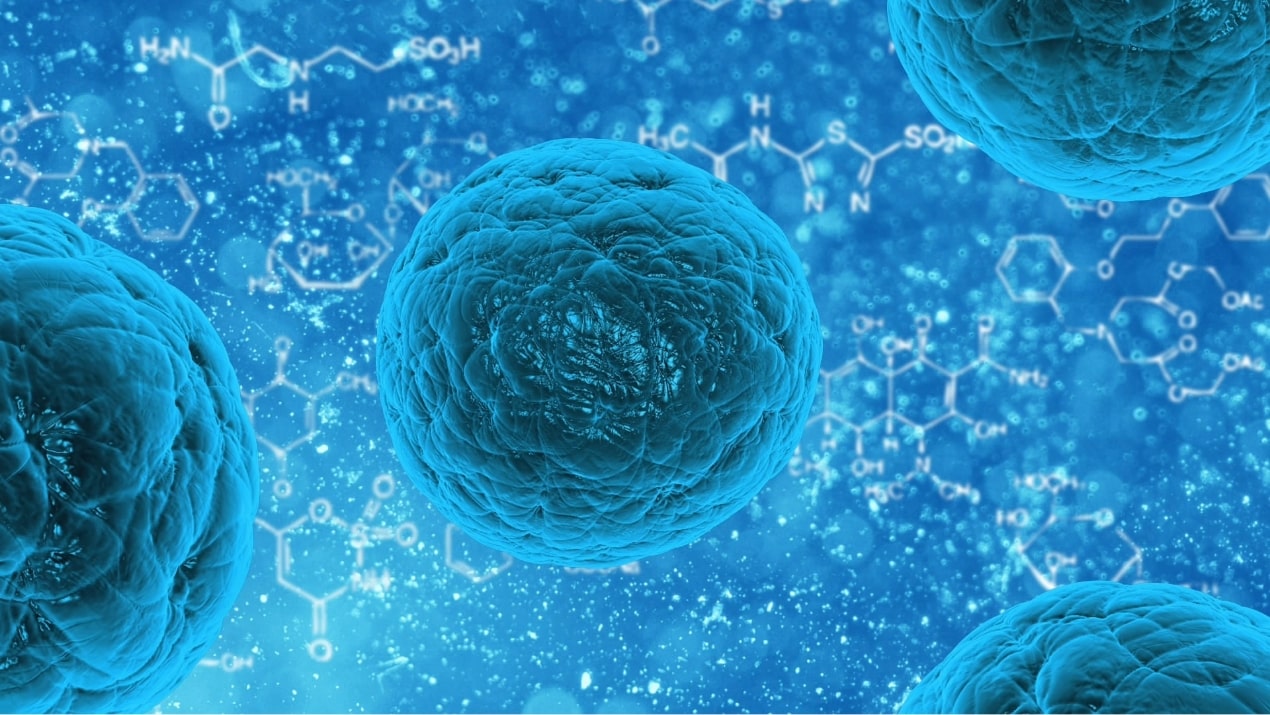 Clinical Therapeutic Effects of Amoxicillin/Clavulanate Potassium